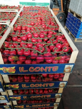 Dalla produzione alla commercializzazione dei prodotti ortofrutticoli - lastacor di Lauria Daniele